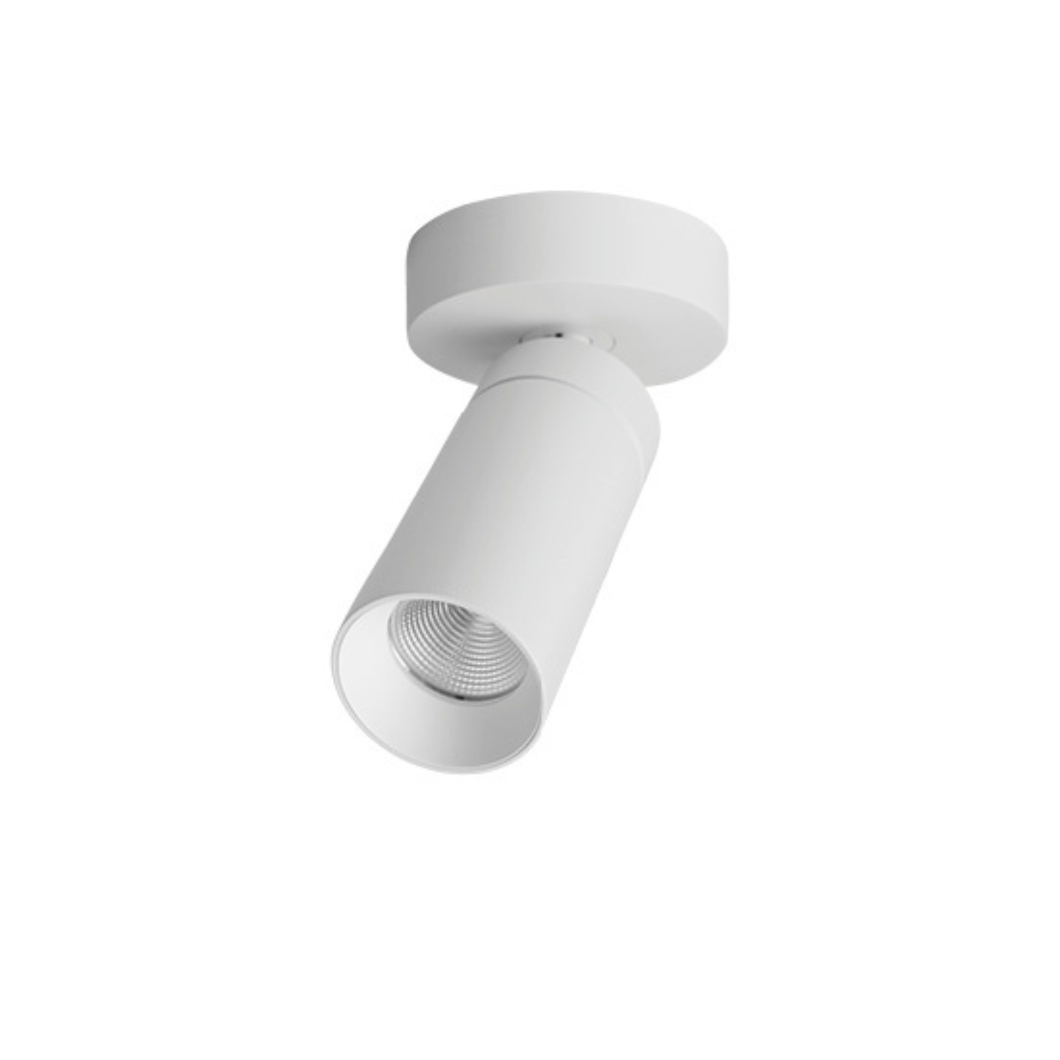 S16 SPOT FIXED MOUNTING - Ceiling Light