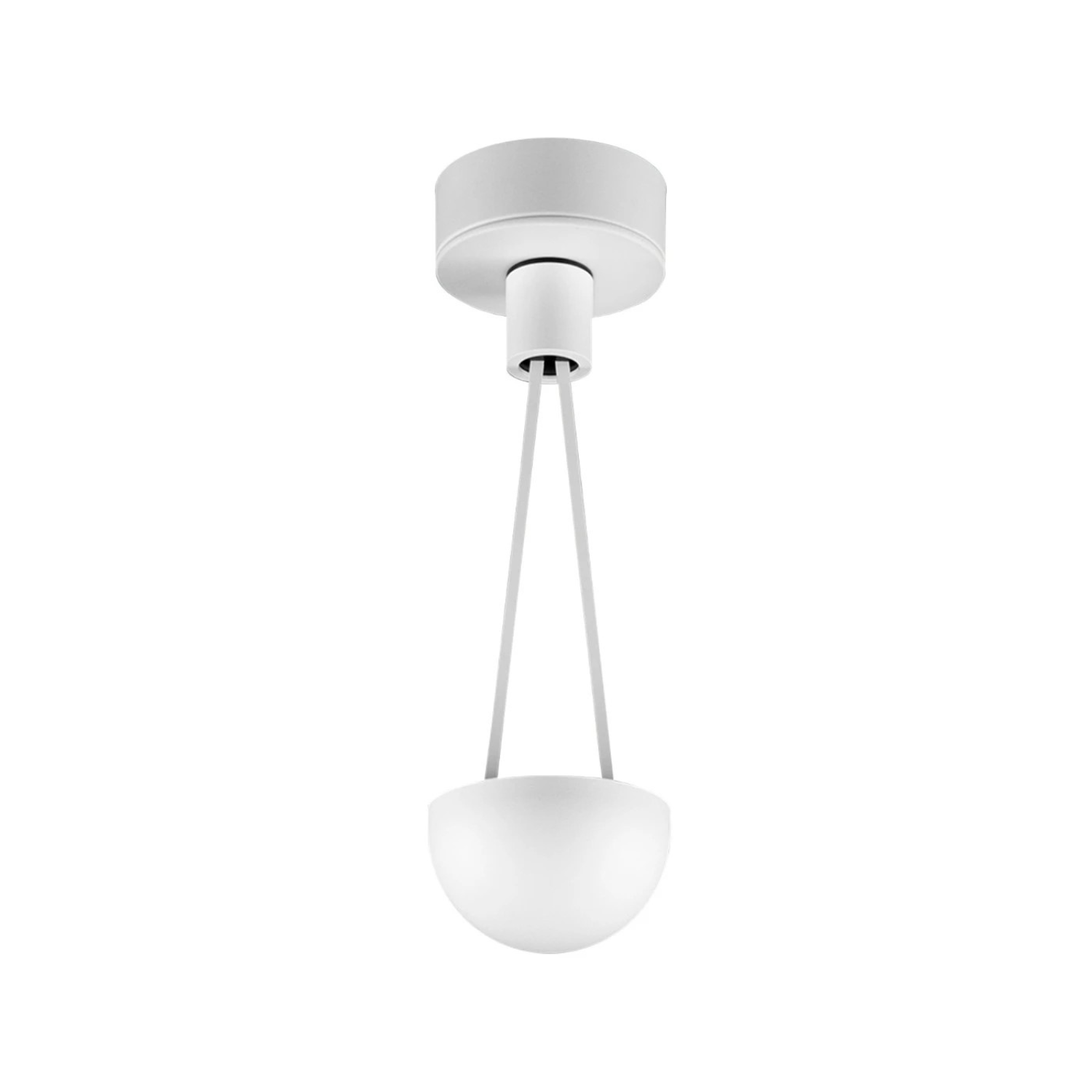 ALE - Pendant Light