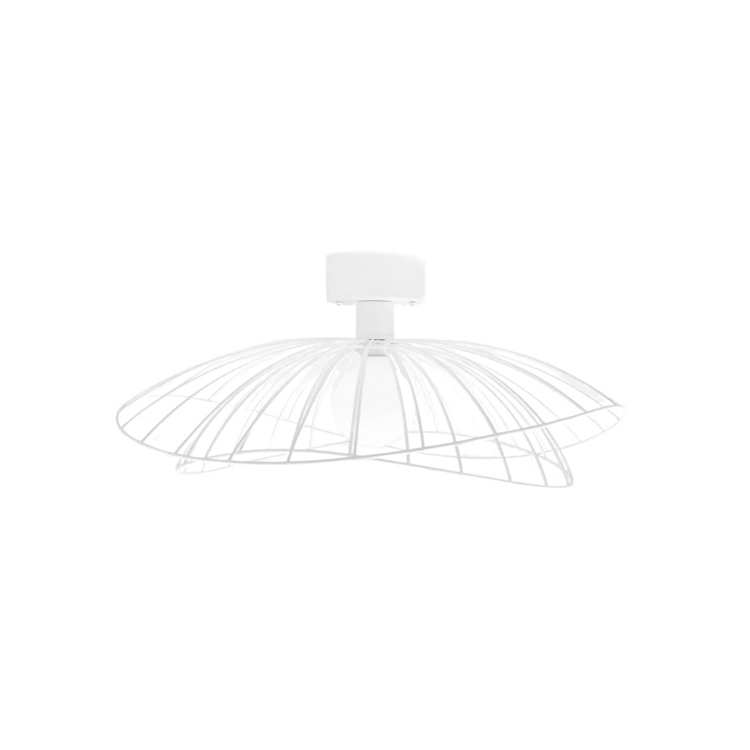 RAY - Ceiling Light