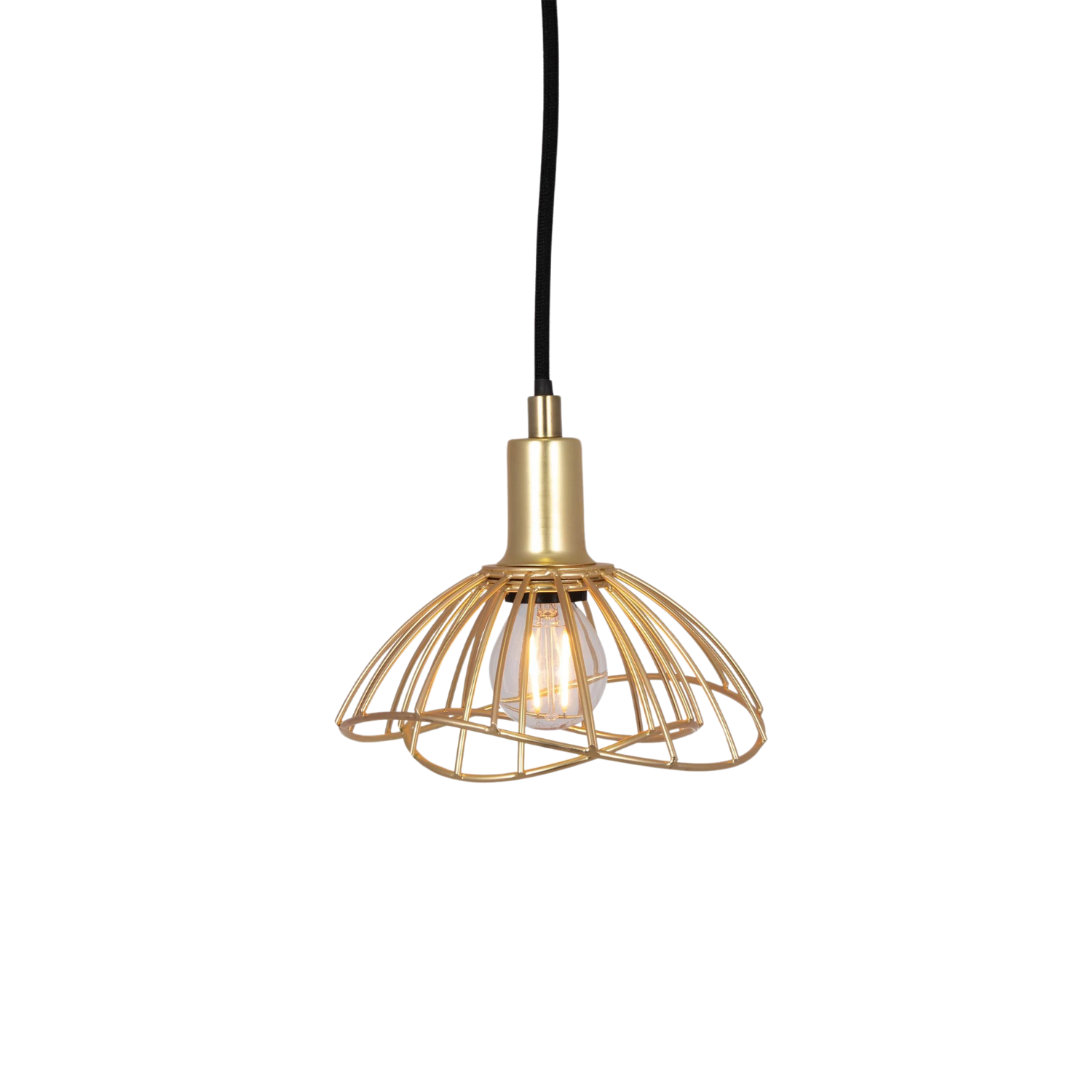 RAY 16 - Pendant Light