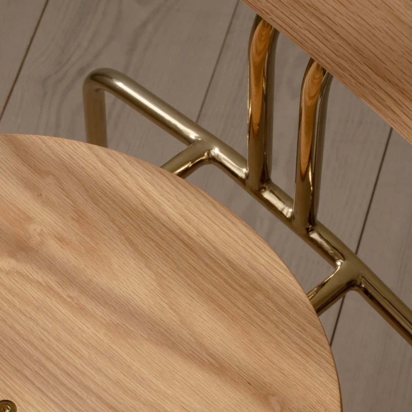 CURIOUS - Dining Chair