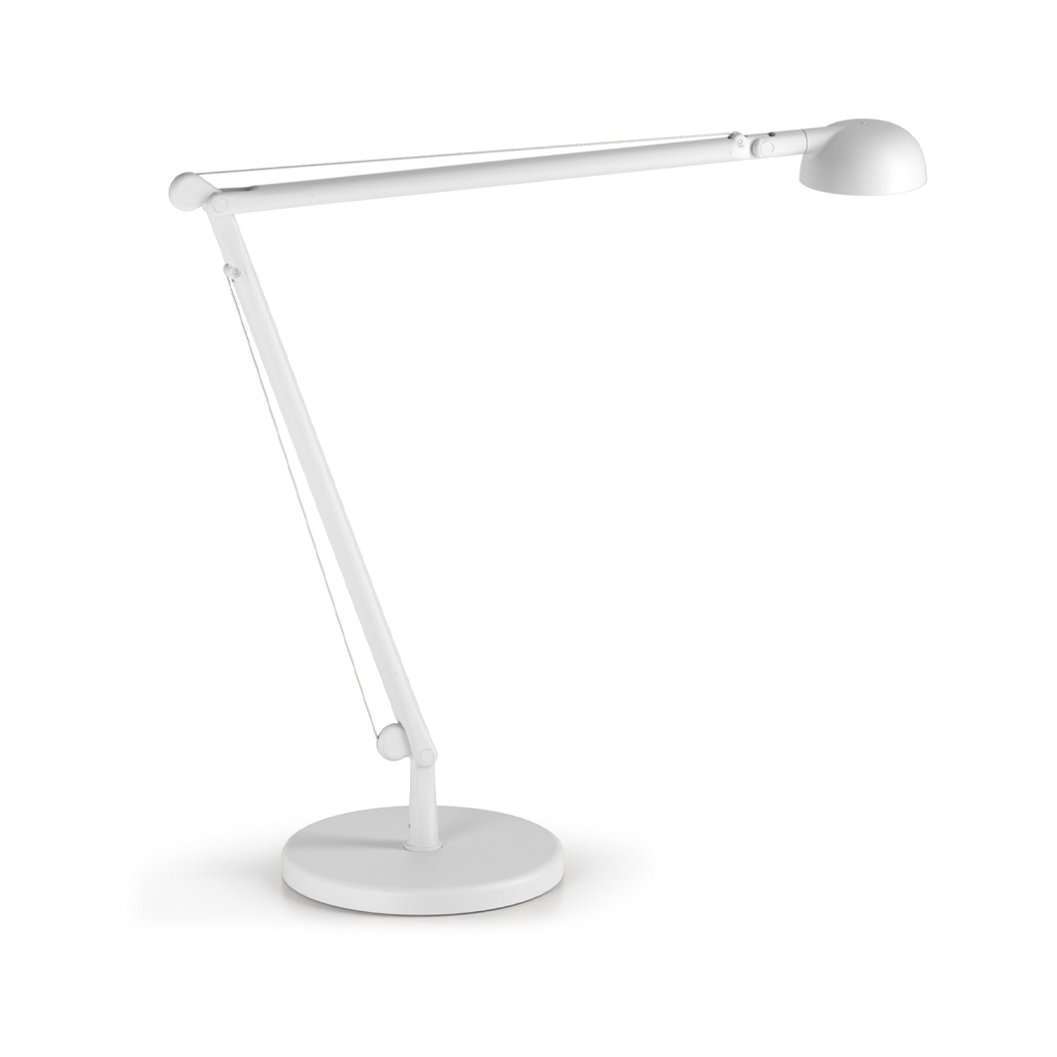 OPUNTIA - Table Lamp