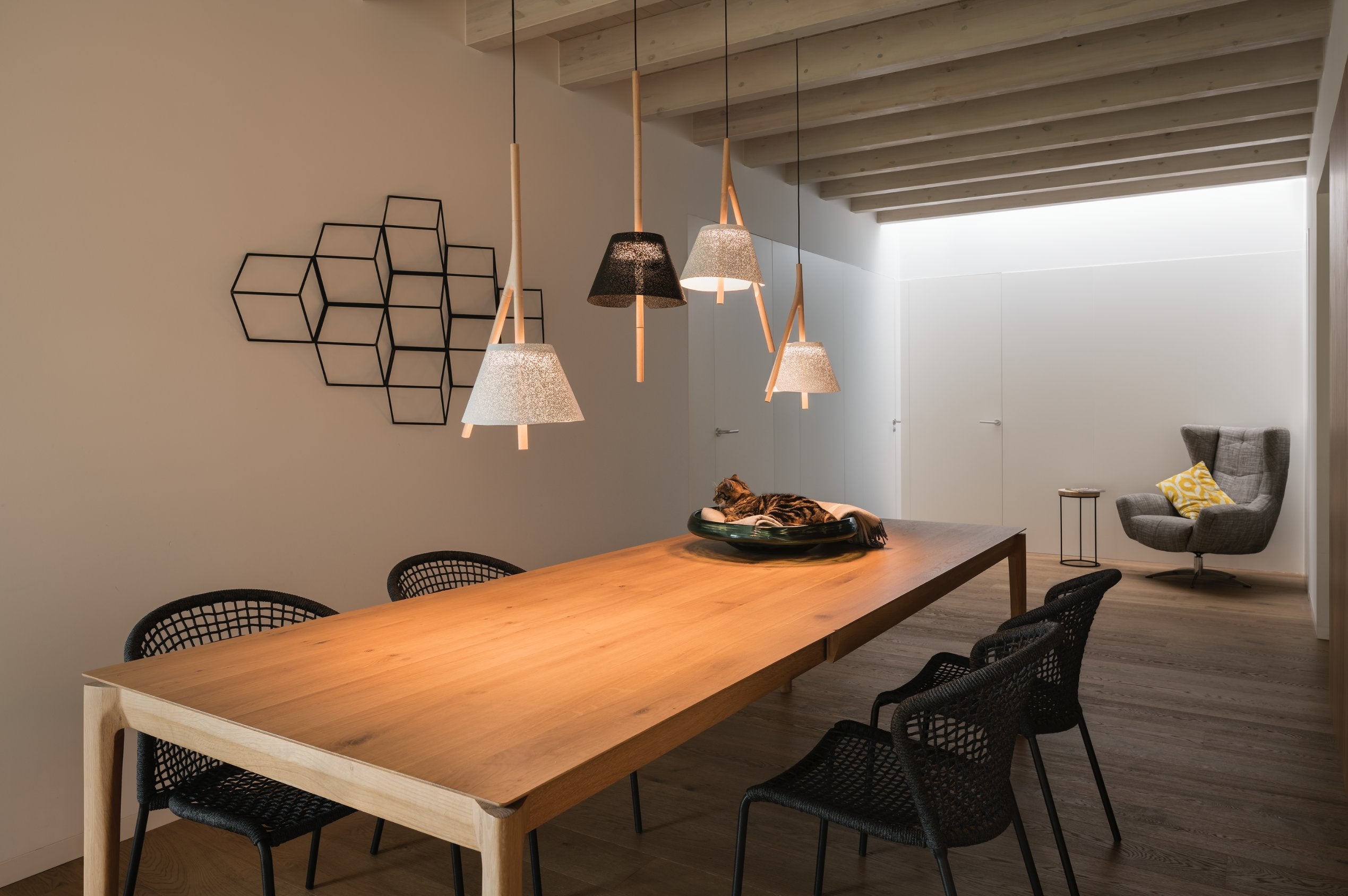 CAMBO 2 - Pendant Light